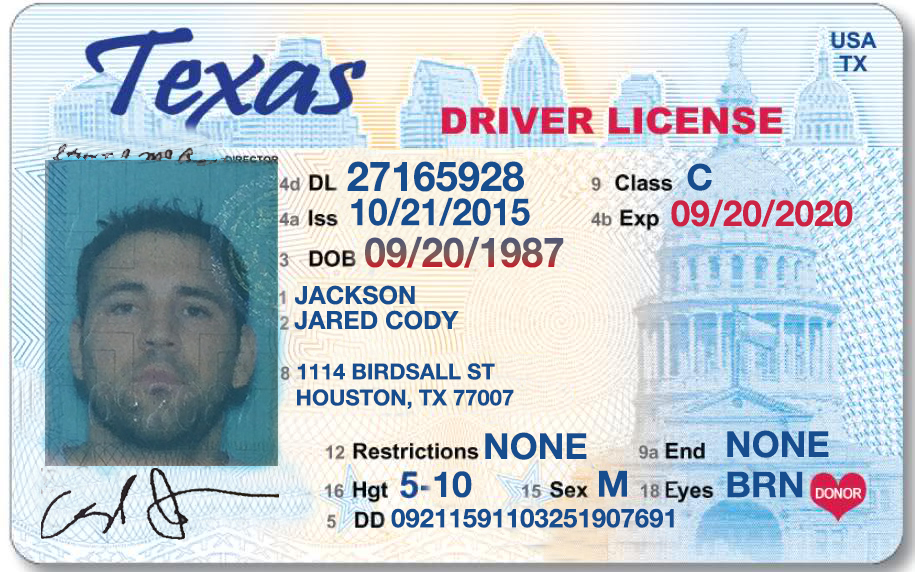 free downloads of all 50 states driver license template